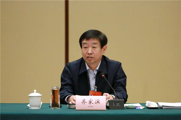 齐家滨参加新北区代表团审议审查时指出——打造跨江融合桥头堡和长江经济带绿色发展示范区 奋力跻身国家一流高新区行列