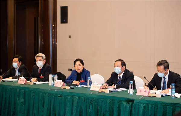 盛蕾参加新北区代表团审议时要求：坚定信心 实干担当 勇争一流