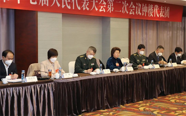 白云萍参加钟楼代表团审议